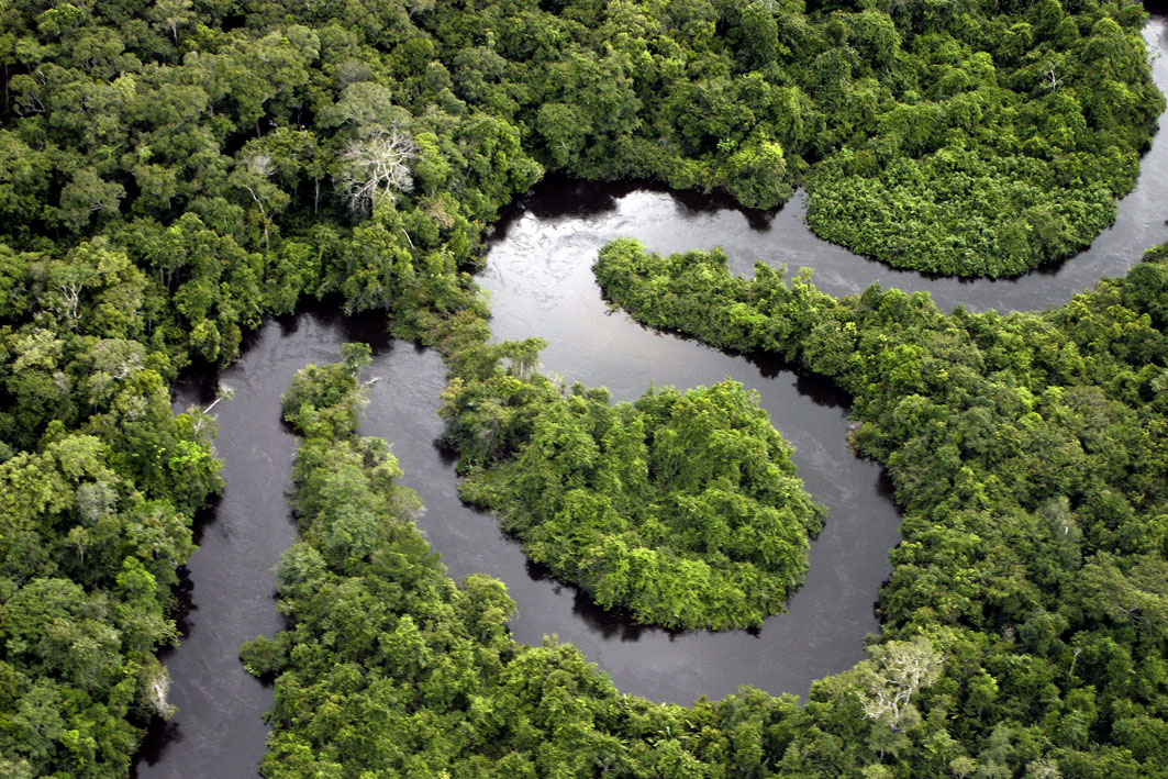 QUÉ ES TROPICAL: DEFINICIÓN Y APLICACIONES IMPACTANTES