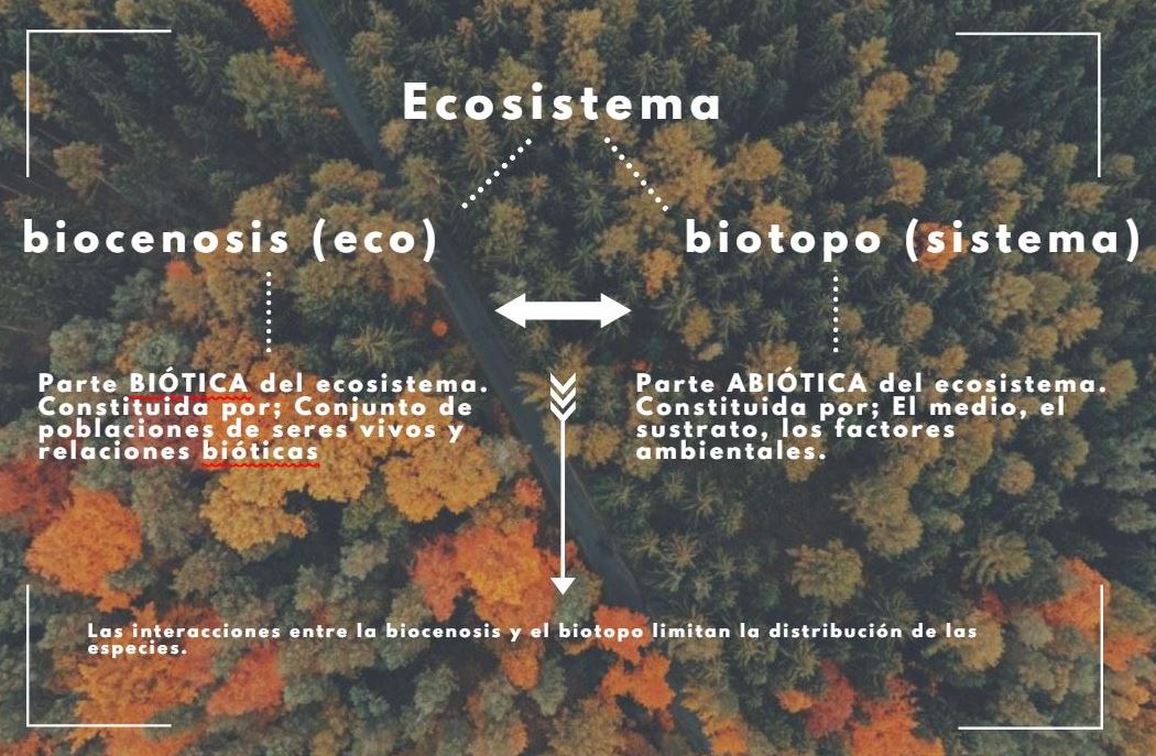 Qué es un biotopo y cuáles son su definición y conceptos clave