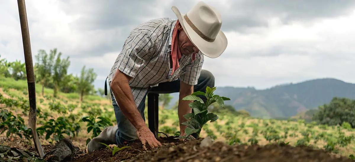 Qué es un campesino, cuáles son sus características y más
