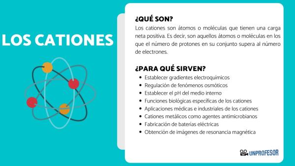 Qué es un catión y cuál es su importancia en la biología
