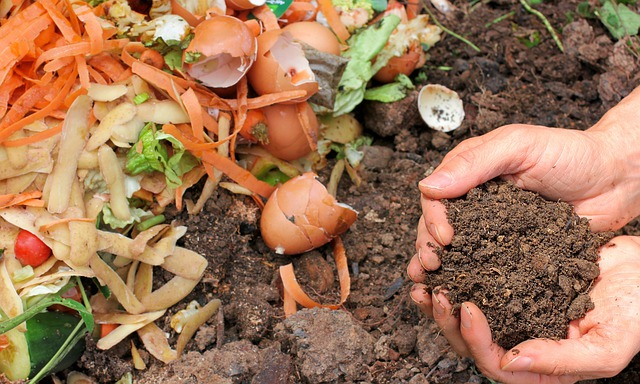 Qué es un compostador y cuáles son sus beneficios