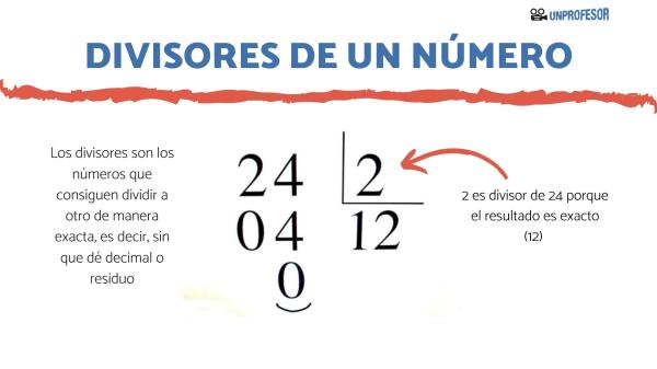 Qué es un divisor y cuáles son sus definiciones y tipos