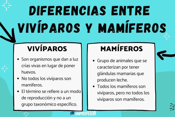 Qué es un vivíparo y cuáles son sus características y tipos
