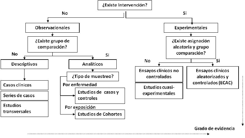 Qué es una COHORTE y cuáles son sus conceptos clave explicados