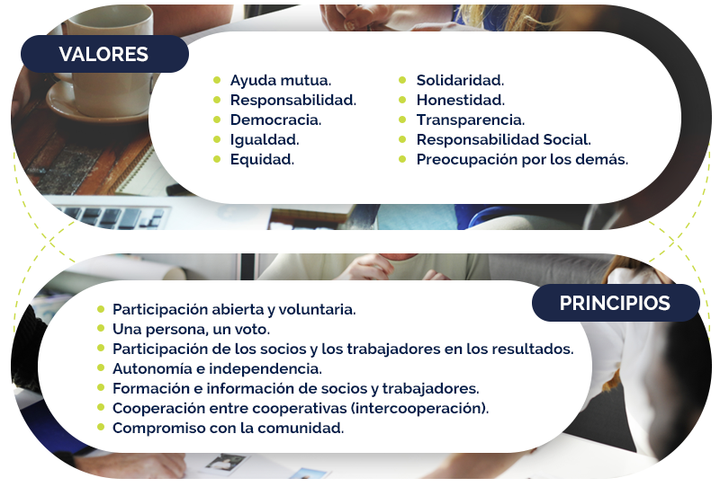 Qué es una cooperativa y cuáles son sus principales ventajas