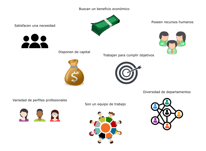 Qué es una empresa, cuáles son sus tipos y características clave