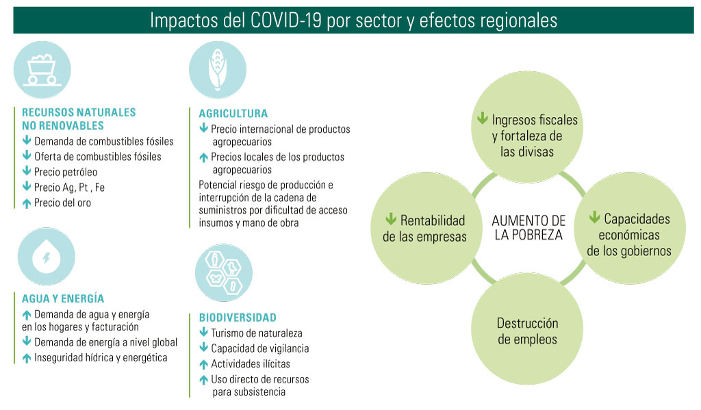 Qué es una epidemia y cómo afecta a la sociedad moderna