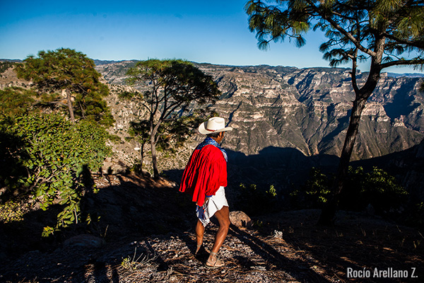 QUÉ ES UNA LÁMINA BIOCULTURAL: DESCUBRE SU IMPACTO