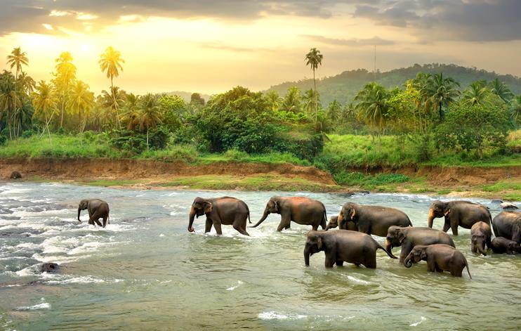 QUÉ ES una RESERVA ECOLÓGICA: Definición y Ejemplos