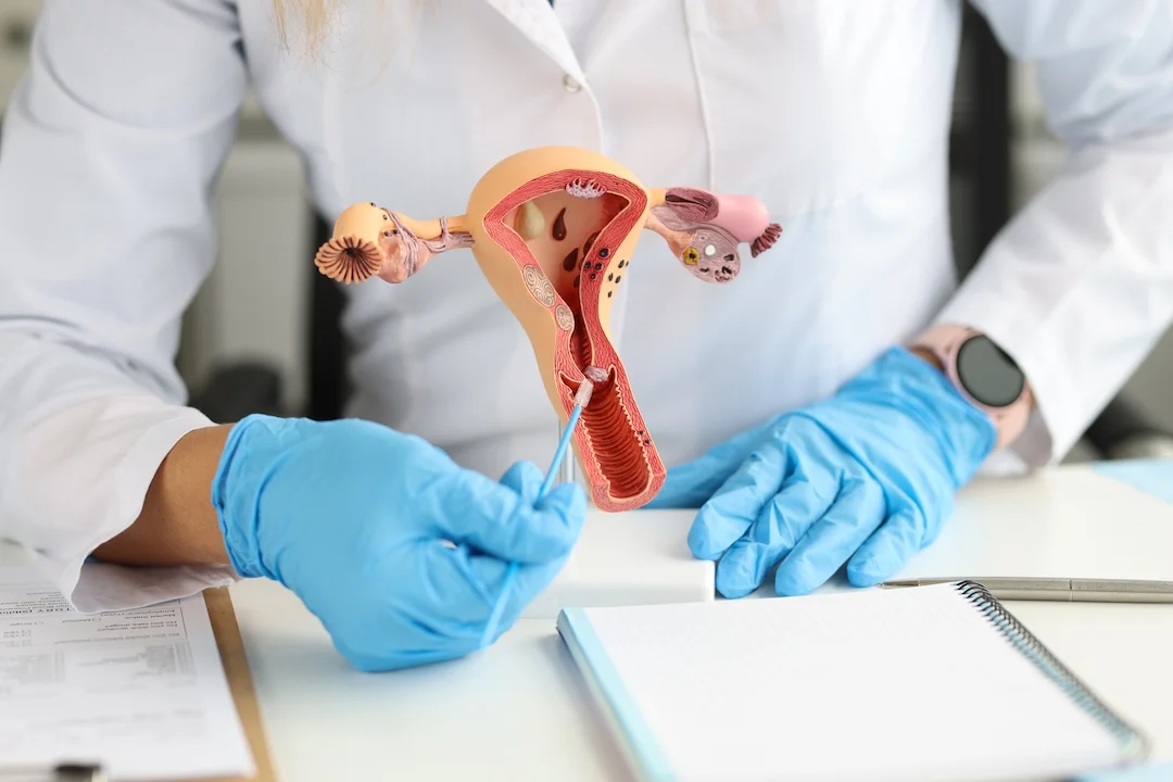 Qué estudia la citología y por qué es importante en la ciencia
