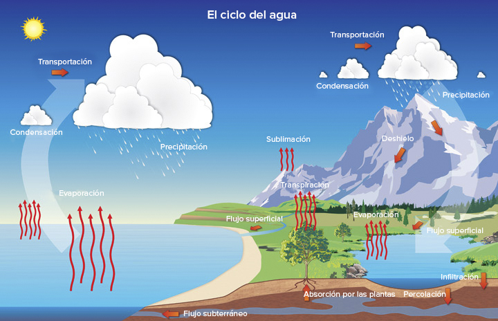 Qué etapas esenciales del ciclo del agua debes conocer