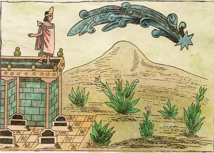 Qué factores contribuyeron a la caída de México Tenochtitlan