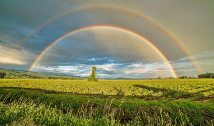 Qué magia visual se esconde tras el orden y los colores