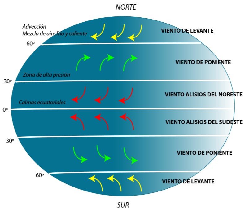 Qué movimientos oceánicos son principales y cómo impactan