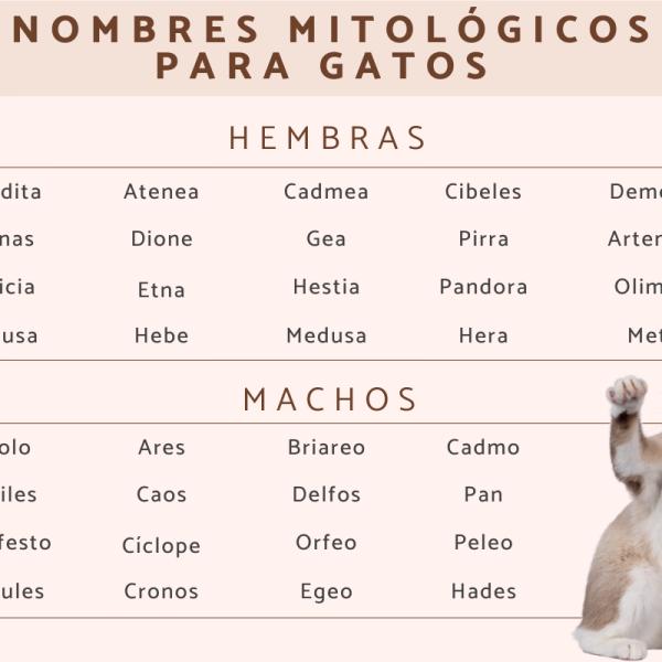 Qué nombres únicos e inspiradores puedo darle a mi mascota