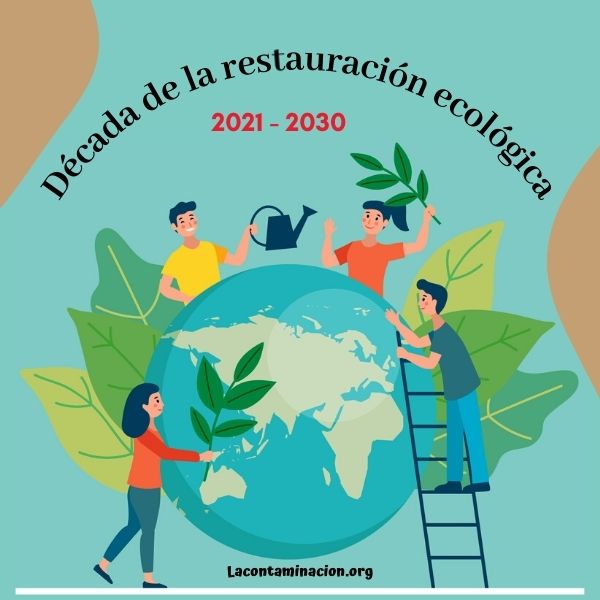 Qué nos está costando la pérdida de biodiversidad actualmente