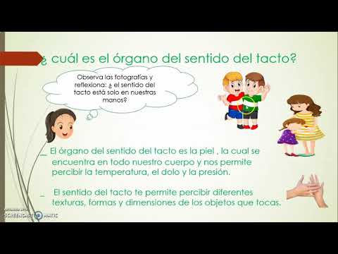 Qué nos revela el tacto sobre la expresión de los objetos