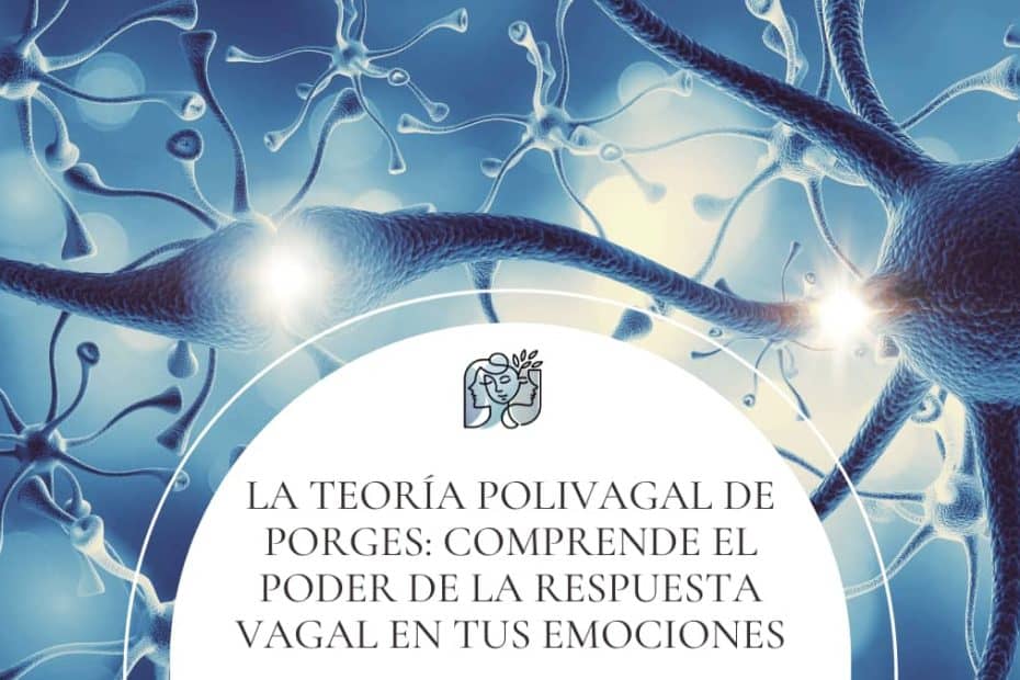 Qué Poder Oculta el Sistema Nervioso Autónomo en Nuestro Cuerpo