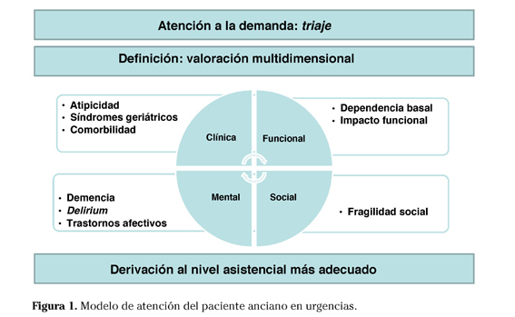 Qué se entiende por geriátrico y cuál es su definición clave