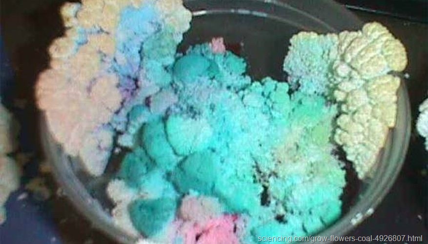 Qué secretos culinarios revela la solubilidad en la cocina