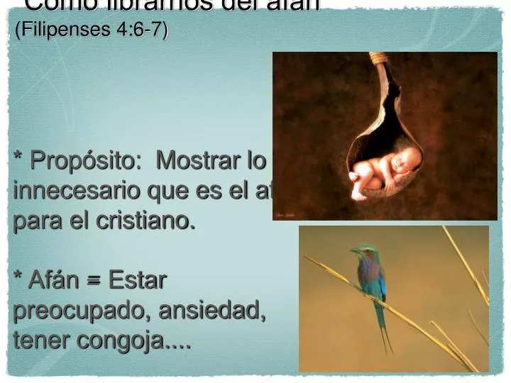 Qué significa afán y cuáles son sus ejemplos clave