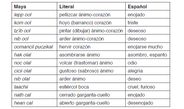 Qué significa benemérita y cuál es su etimología clave