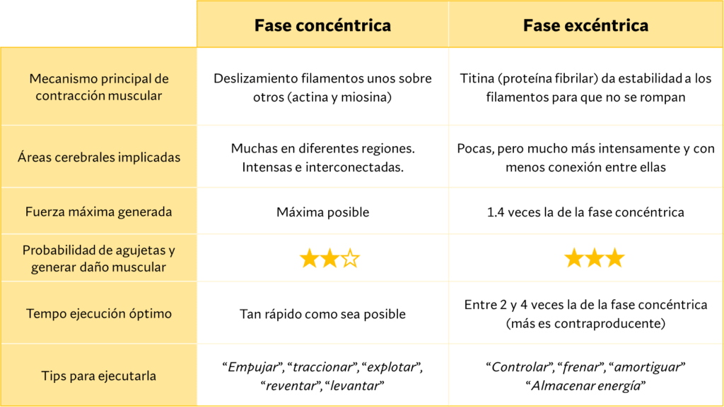 Qué significa concéntrico y por qué es relevante para ti