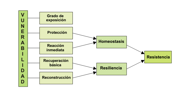 Qué significa daño y cuáles son sus sinónimos y usos relevantes