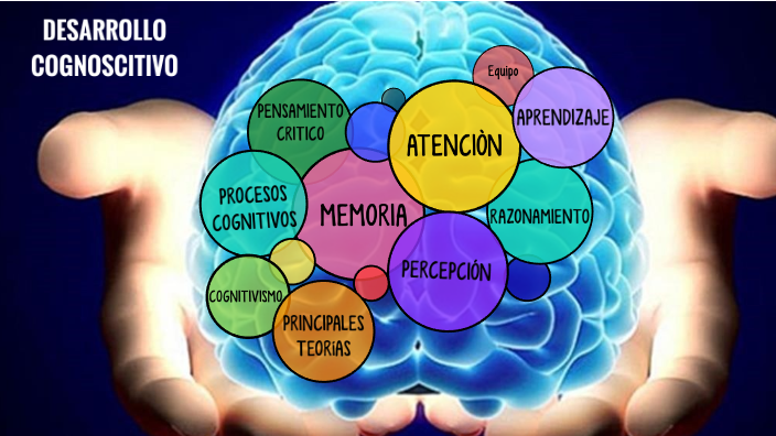 Qué significa el término cognoscitivo y cuáles son sus etapas