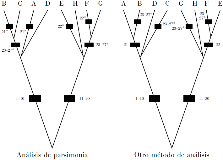 Qué significa el término homólogo y cuáles son sus conceptos clave