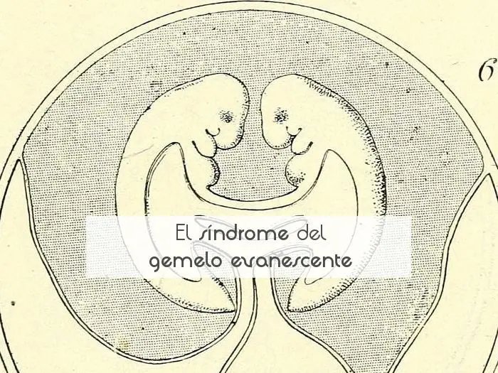 Qué significa evanescente y cuál es su verdadero concepto