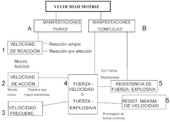 Qué significa la rapidez y cuáles son sus tipos esenciales