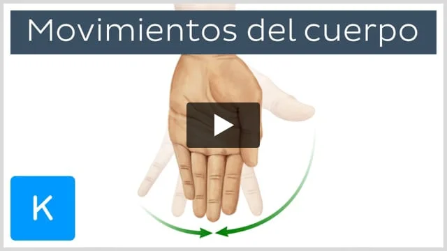 Qué significa la secuencia y cómo se relaciona con el movimiento