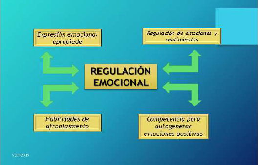 Qué significa regular y cuáles son sus sinónimos más relevantes