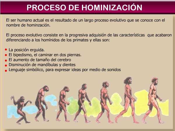 Qué significa ser bípedo y cómo ha cambiado este concepto