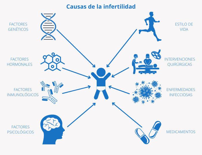 Qué significa ser estéril y cuáles son sus causas clave