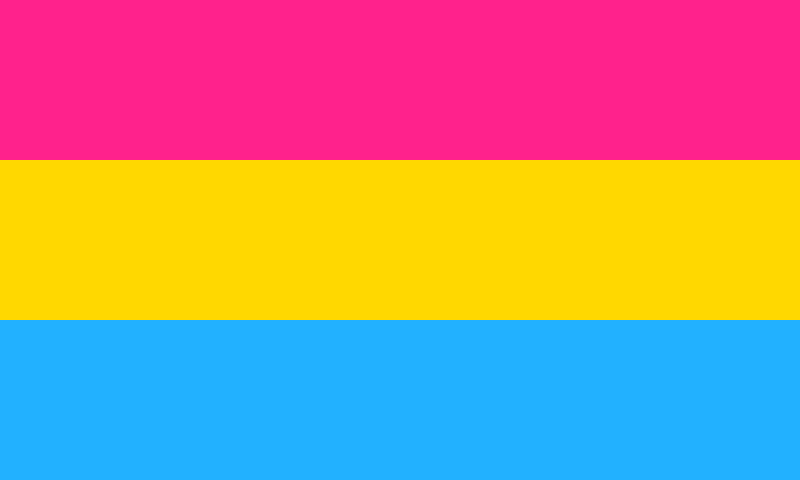 Qué significa ser pansexual y cuál es su definición y contexto
