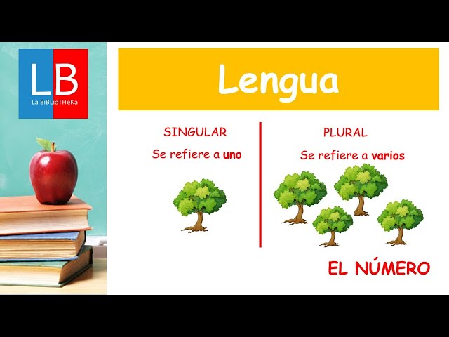 Qué significa 'singular' y cuál es su plural explicado