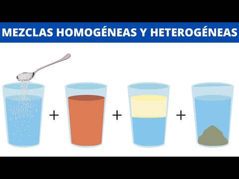 Qué significa y cómo se define el término homogéneo claramente