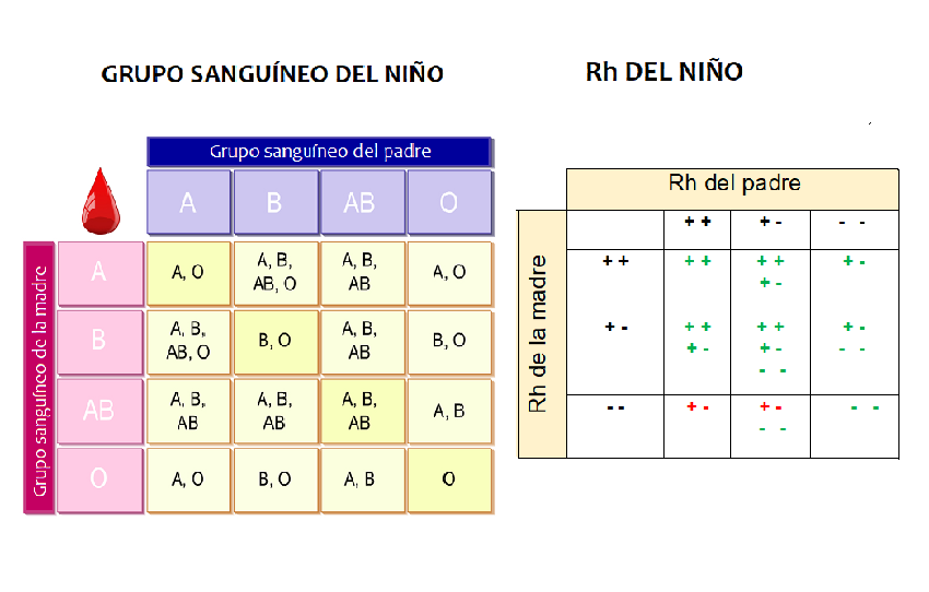 Qué significa y cuál es el concepto de incompatibilidad