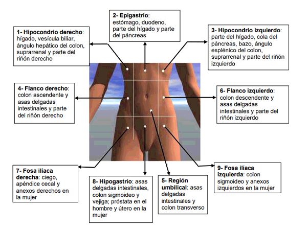 Qué significa y cuáles son los usos del flanco derecho