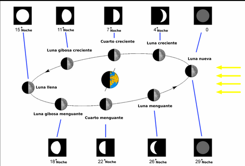 Qué Significado Esencial Tienen las 4 Fases de la Luna