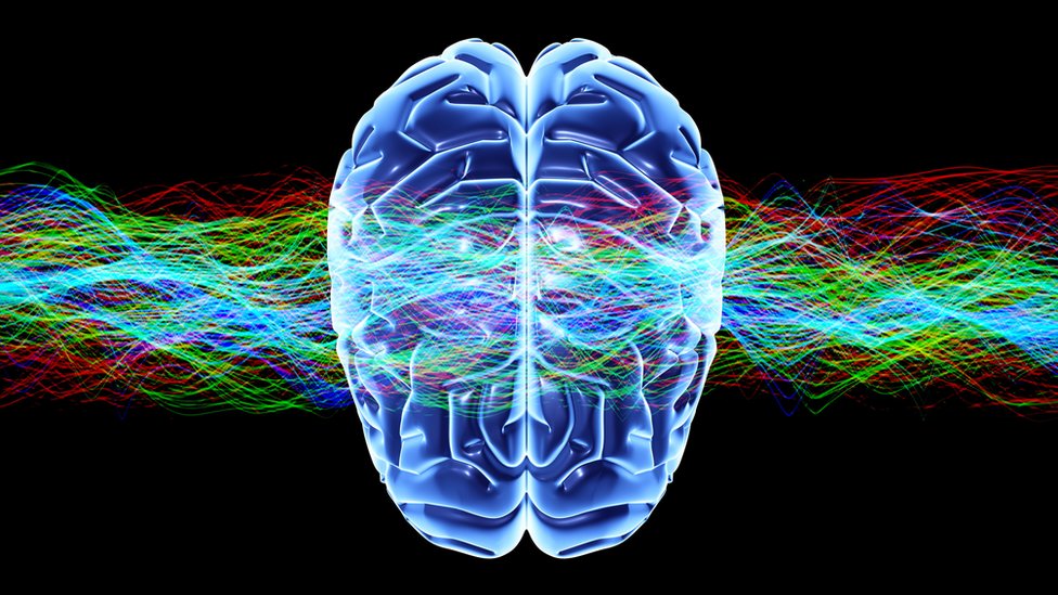 Qué Significado y Concepto Tienen los Andróginos en la Sociedad