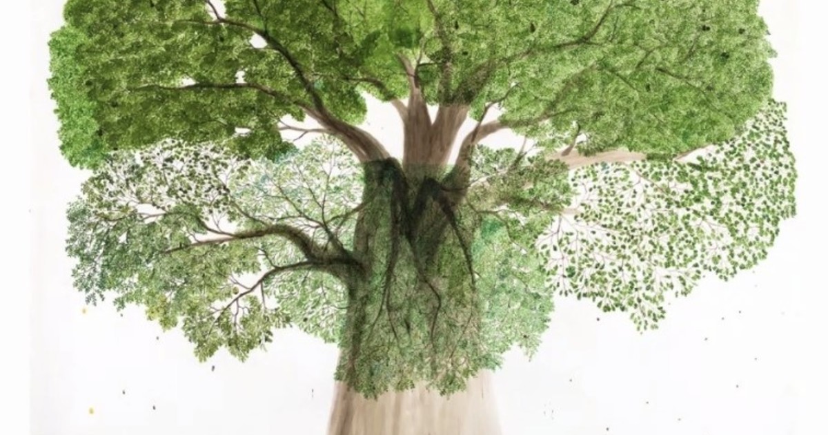 Qué Significado y Definición Tiene el Árbol Mágico HAYA