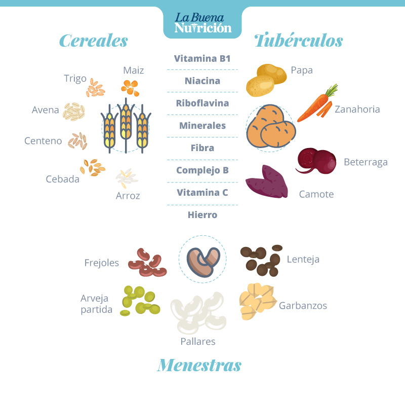 Qué significado y qué importancia tienen los cereales en nuestra vida