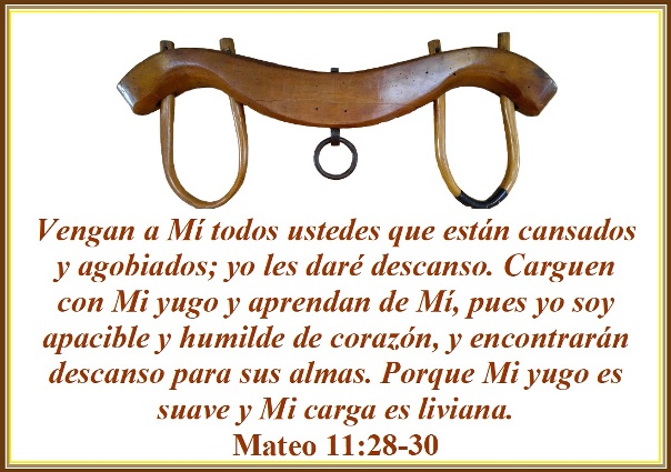 Qué Significado y Uso Esencial Tiene la Palabra SUCUMBIR