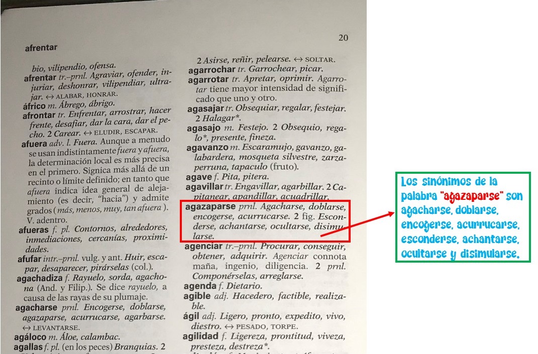 Qué significan grandes y cuáles son sus sinónimos esenciales