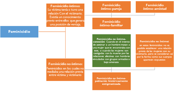 Qué son femicidio y feminicidio y cuál es su impacto social