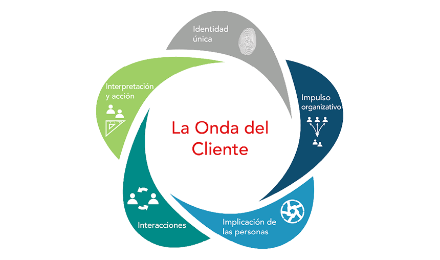 Qué son la definición, conceptos y usos clave de la experiencia