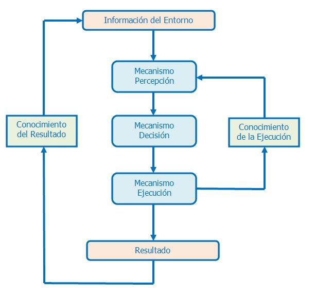 Qué son la habilidad y destreza, y qué ejemplos las ilustran
